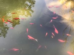-林海公园
