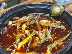 -金海椒罐罐鲢鱼(东方桂苑店)