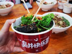 -黑色经典臭豆腐·湖南特产(坡子街特产局店)