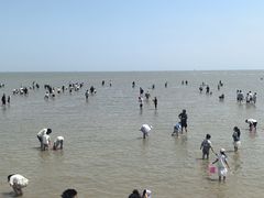 -刘家湾赶海园