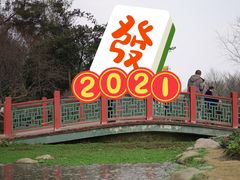 -秀丽东方