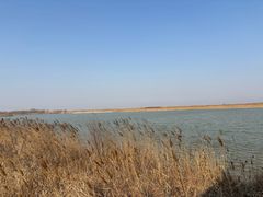 -盐城丹顶鹤湿地生态旅游区