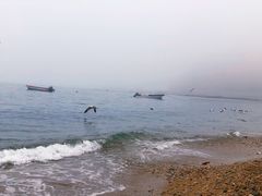 -棒棰岛宾馆景区