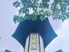 -上海佘山国家森林公园天马山园