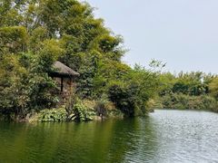 -沐川竹海旅游景区