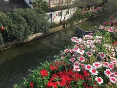 -南京夫子庙国际青年旅舍(平江府路店)