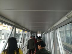 -吴淞口国际邮轮码头-停车场
