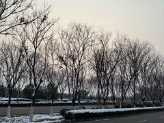-茯茶镇