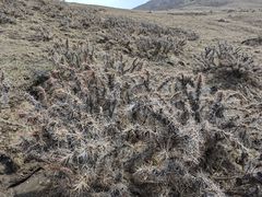 -灵山