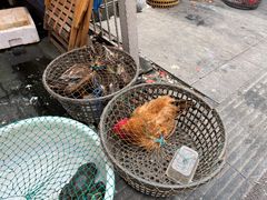 -芦潮港集贸市场