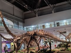 -自贡恐龙博物馆