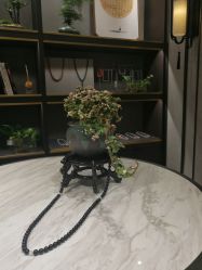 -御珠宫坊(壹海城ONEMALL店)