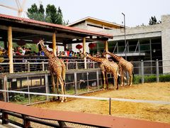 -石家庄市动物园