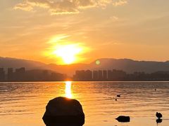 -洱海月湿地公园