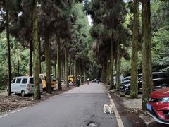 -贵州省植物园