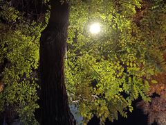 -老李炸串(中国烟草烟厂宿舍店)