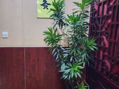 -刘超盲人按摩所(寇庄西路店)