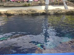 -新加坡水上探险乐园