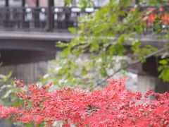-鹿亭中村
