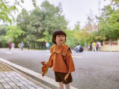 -八大关景区