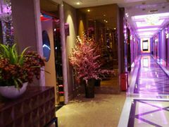 -Miohca缪卡KTV(和平店)