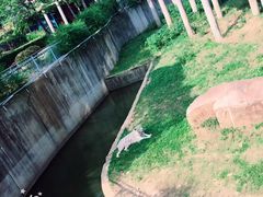 -无锡动物园·太湖欢乐园