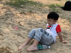 -大兴滨河森林公园