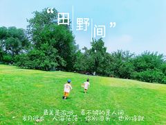 -御林古桑园