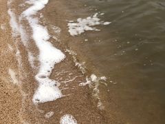 -仙湖旅游度假区