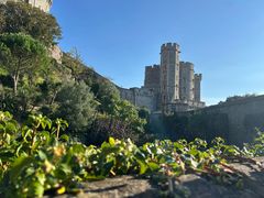 -温莎城堡
