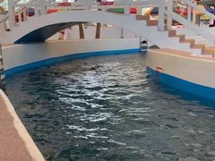 -中国死海旅游度假区