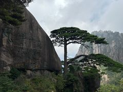 -黄山风景区