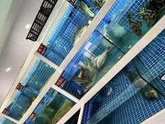 -渔家乐小海鲜(皇姑店)