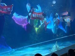 -邯郸海洋世界
