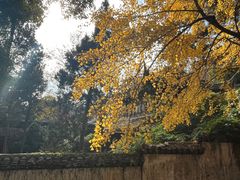 -无锡惠山寺