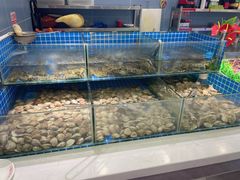 水产区-鼎级香· 火锅烤肉自助丨涮烤一体(蜀山唯品会店)