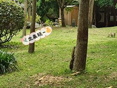 -西湖公园(鼓楼区)