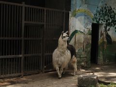 -昆明动物园