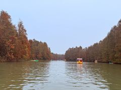 -上海海湾国家森林公园