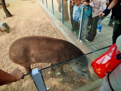 -西霞口神雕山野生动物世界