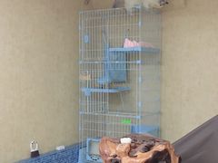 -福州肆爪动物医院