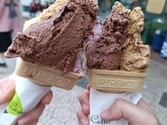 -柠檬车露(卖草地店)