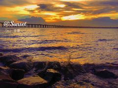 -宝安西湾红树林湿地公园