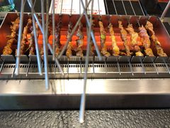 -邢氏老太太烤串(北兴街店)
