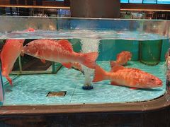 -阿伟海鲜楼·福建菜(延寿店)