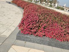 -东疆建设开发纪念公园
