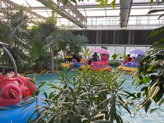 -南宫五洲植物乐园