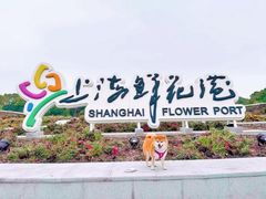 -上海鲜花港