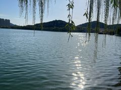 -济南国际园博园