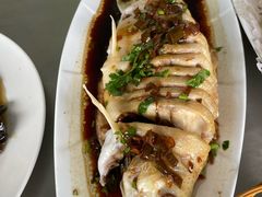-青龙潭鱼庄